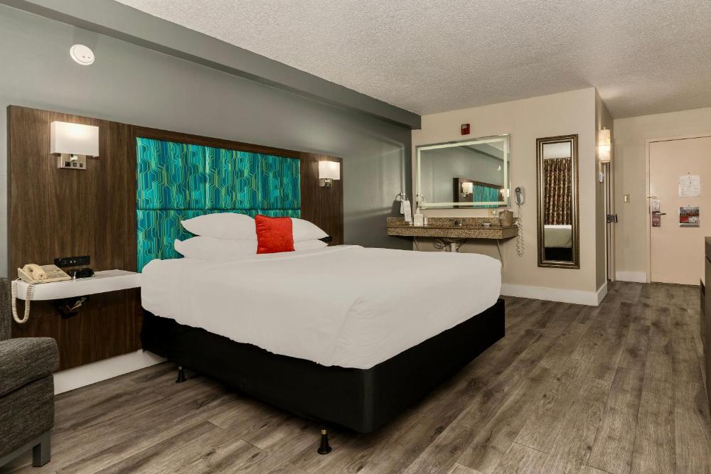 Queen Room - Disability Access interior